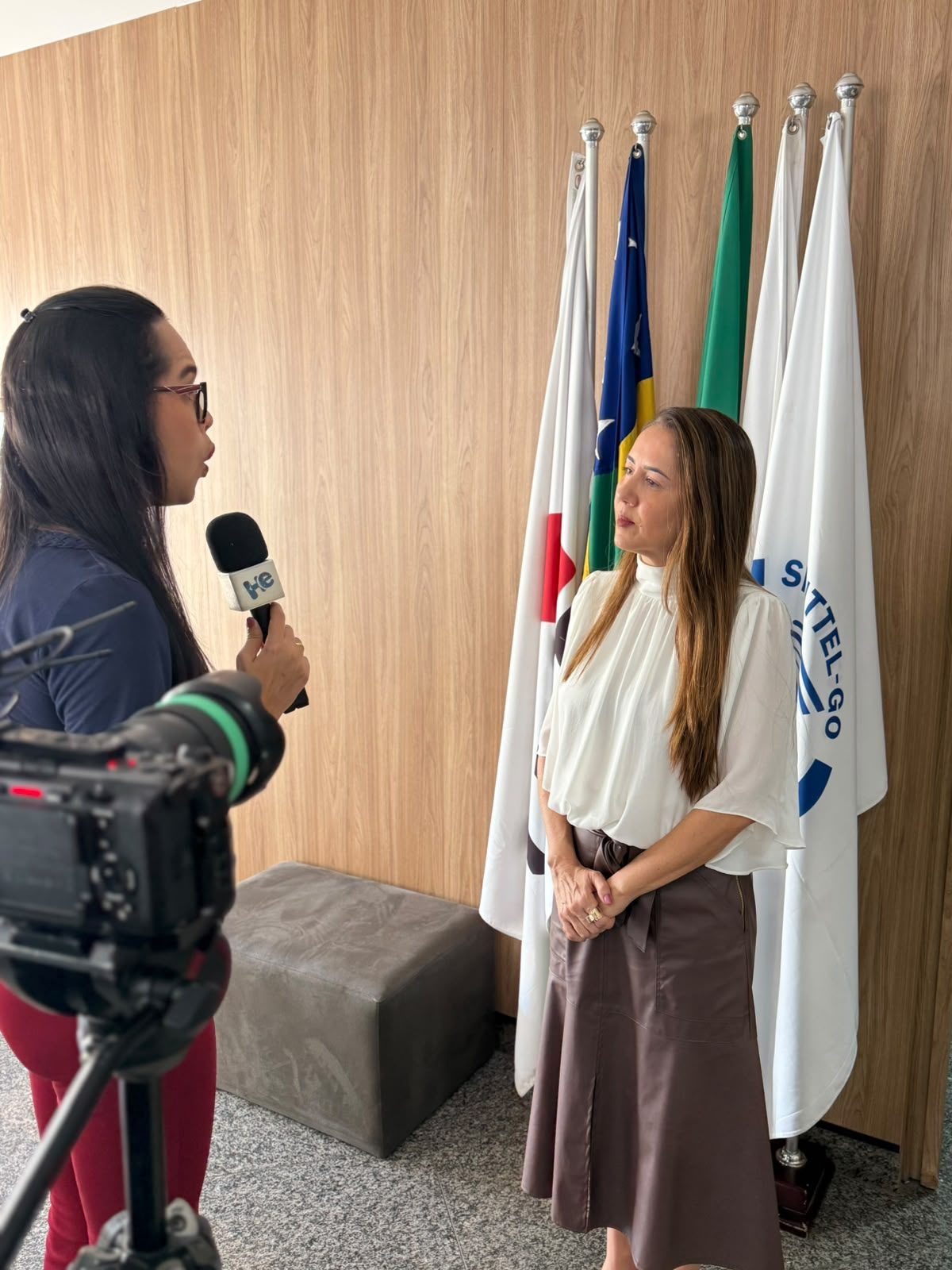 Procuradora-chefe do MPT-GO concede entrevista diante das bandeiras na sede do SINTTEL-GO