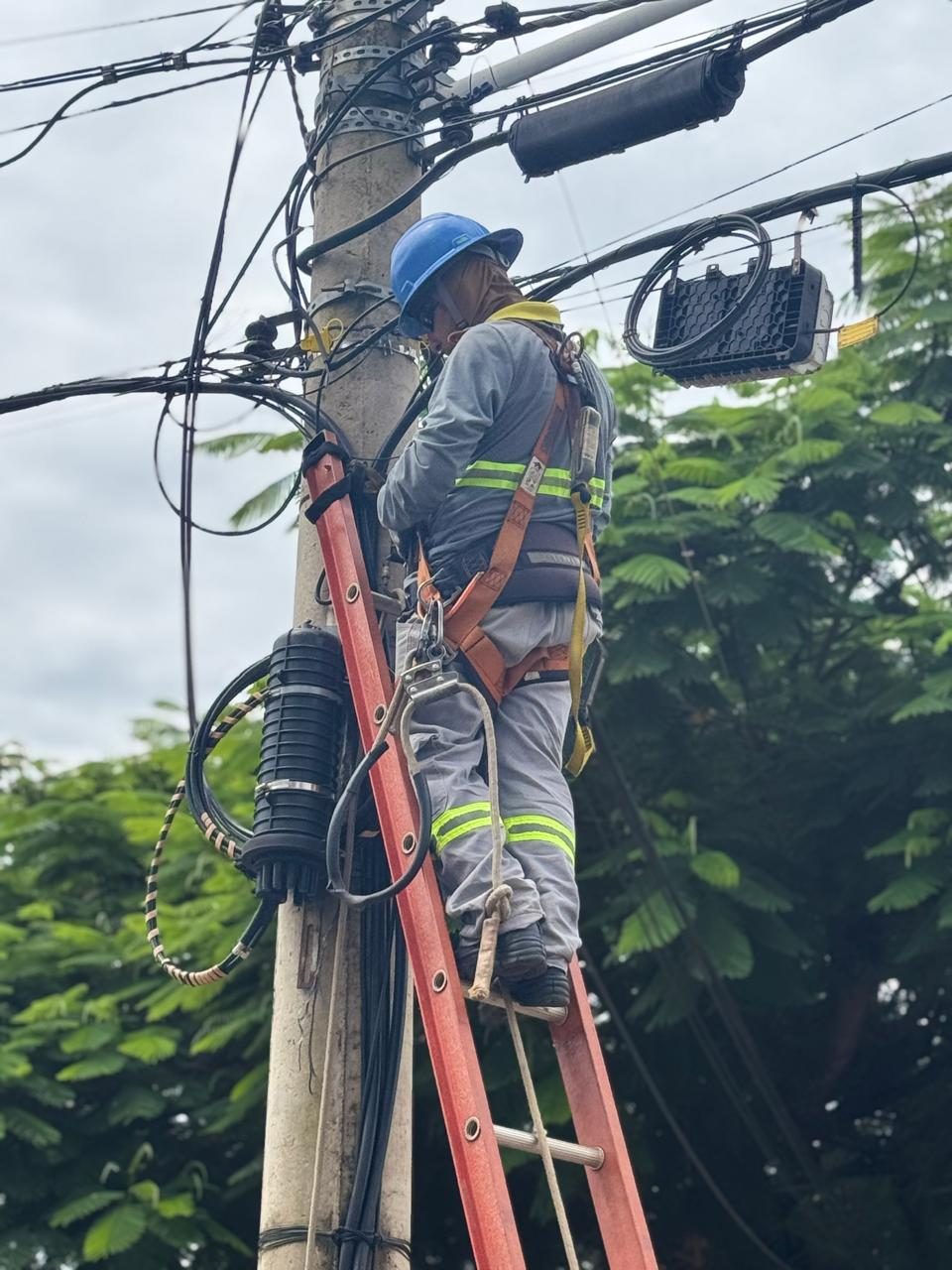 Técnico de rede de telecomunicações trabalha em poste usando capacete, cinto de segurança e escada
