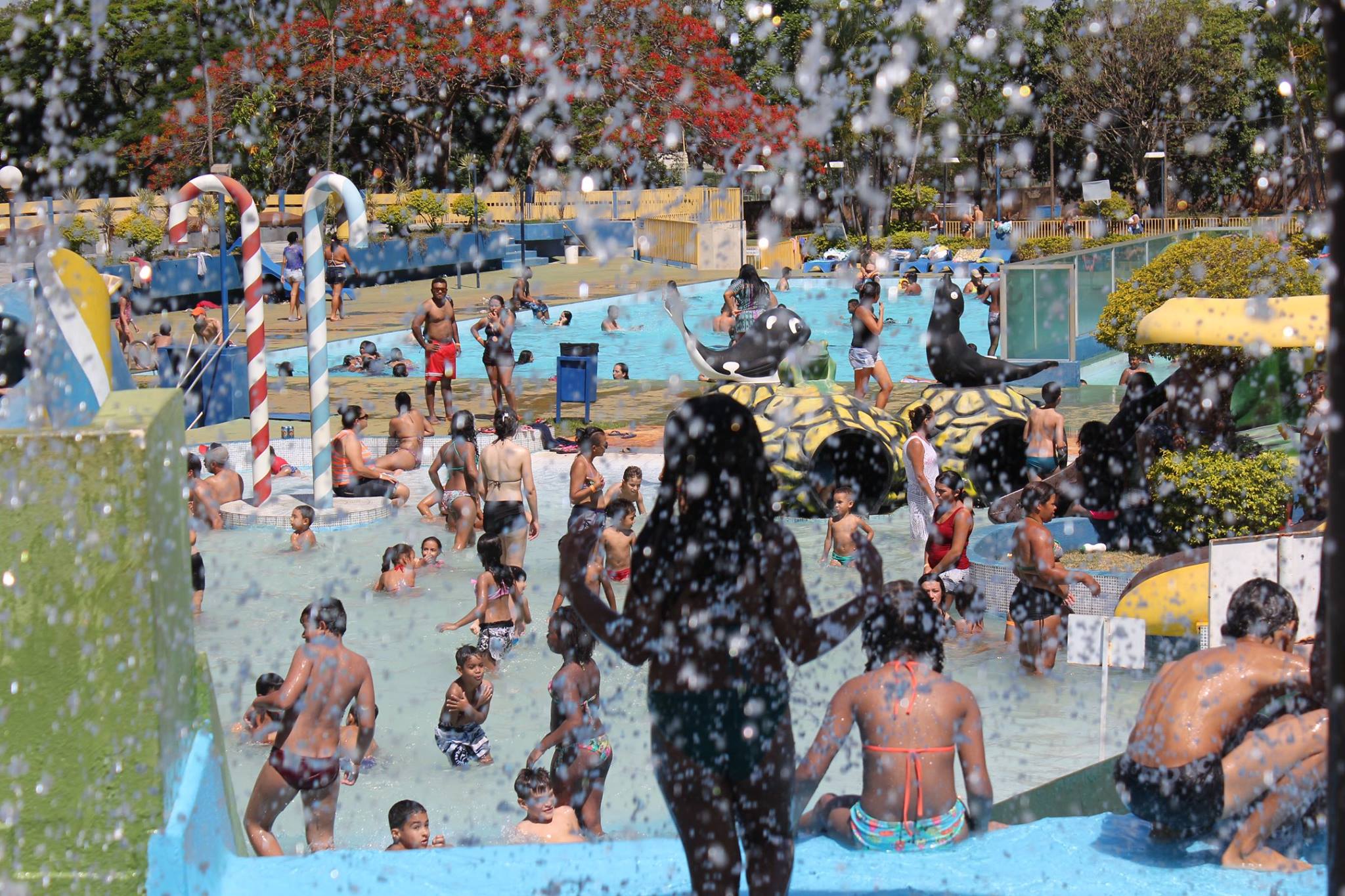 Clima seco é convite para o parque aquático do Clube dos Bancários -  Sindicato dos Bancários no Estado de Goiás